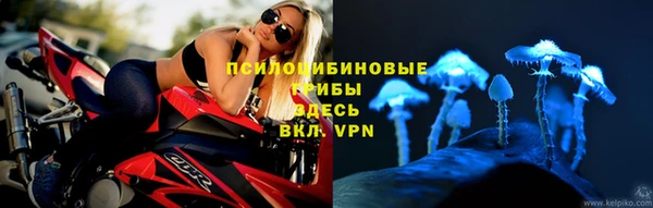 амф Алзамай