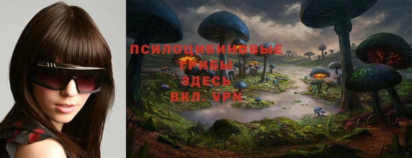 МДПВ Алексеевка