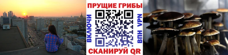 Псилоцибиновые грибы MAGIC MUSHROOMS  сайты даркнета наркотические препараты  Спасск 